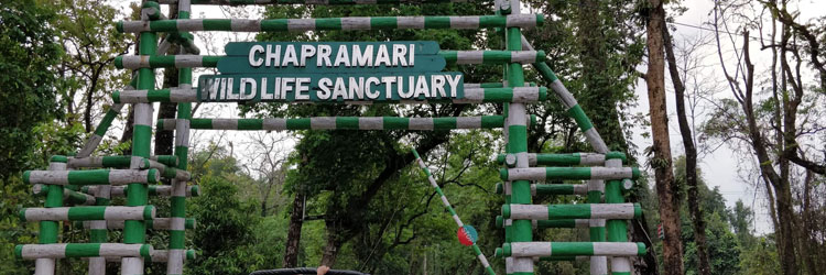 Chapramari Wildlife Sanctuary