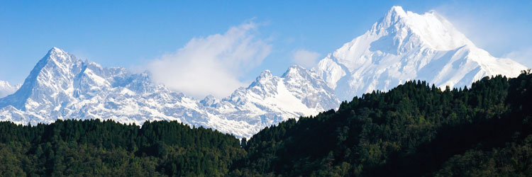 Pelling